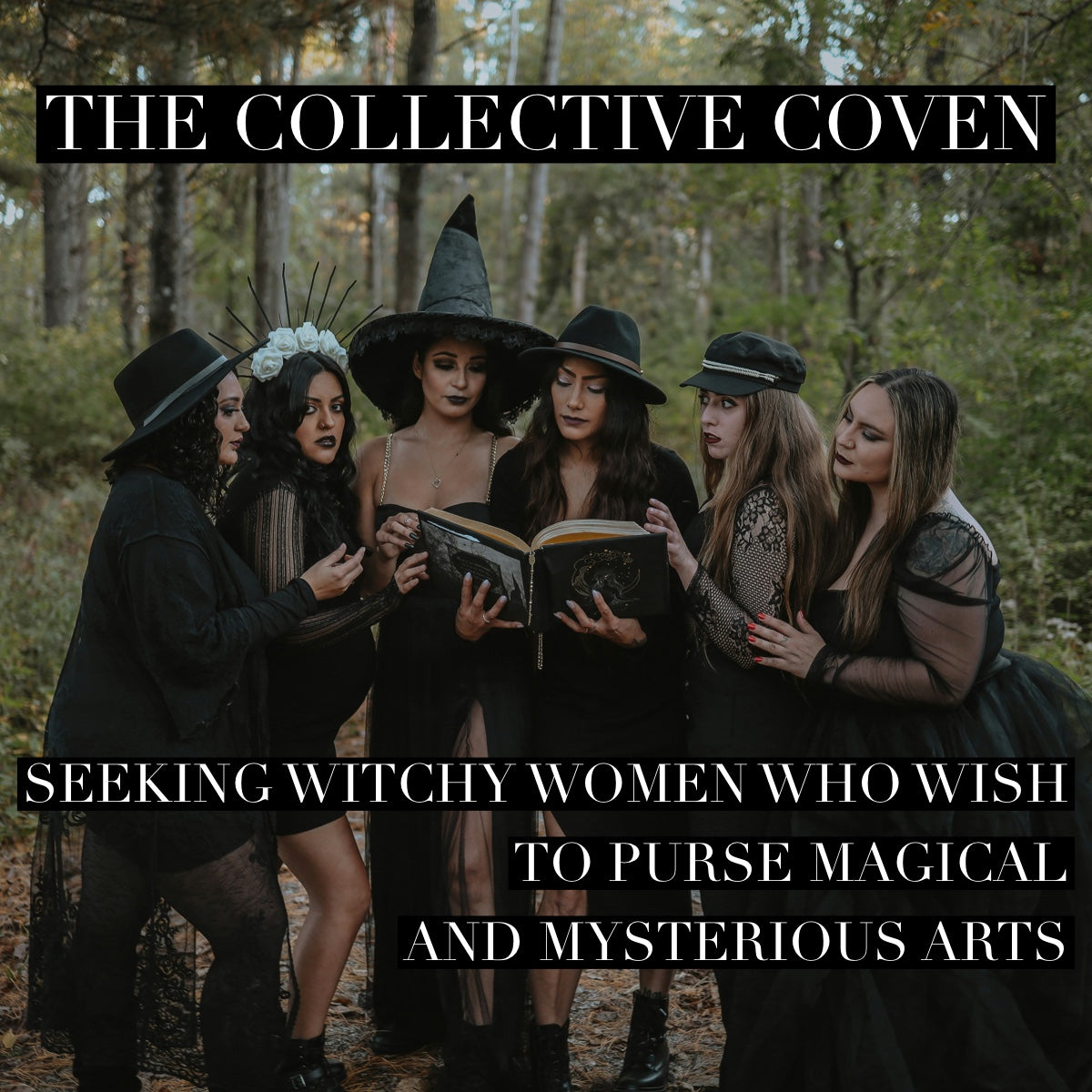 Coven Annual Membership